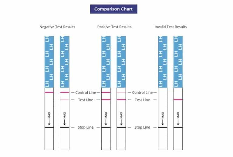 Ovulation Test Strip Instructions: How to Dip and Read