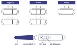 Positive negative and invalid midstream ovulation test result examples