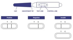 Positive negative and invalid midstream pregnancy test result examples