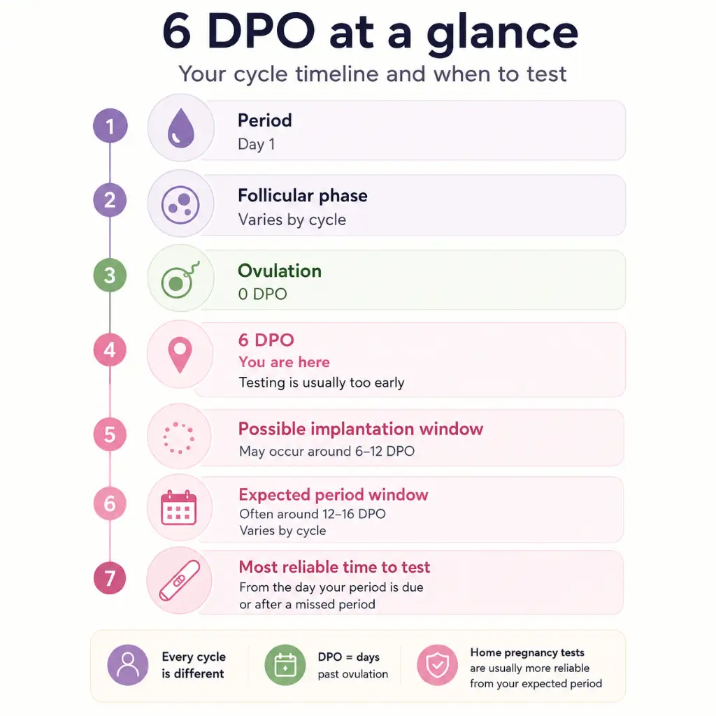 confirming ovulation before 6 DPO pregnancy testing with ovulation tests and BBT tracking