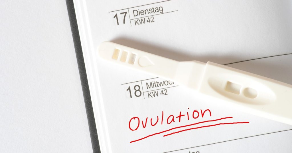 How Accurate Are Ovulation Tests? OPK Results and Timing