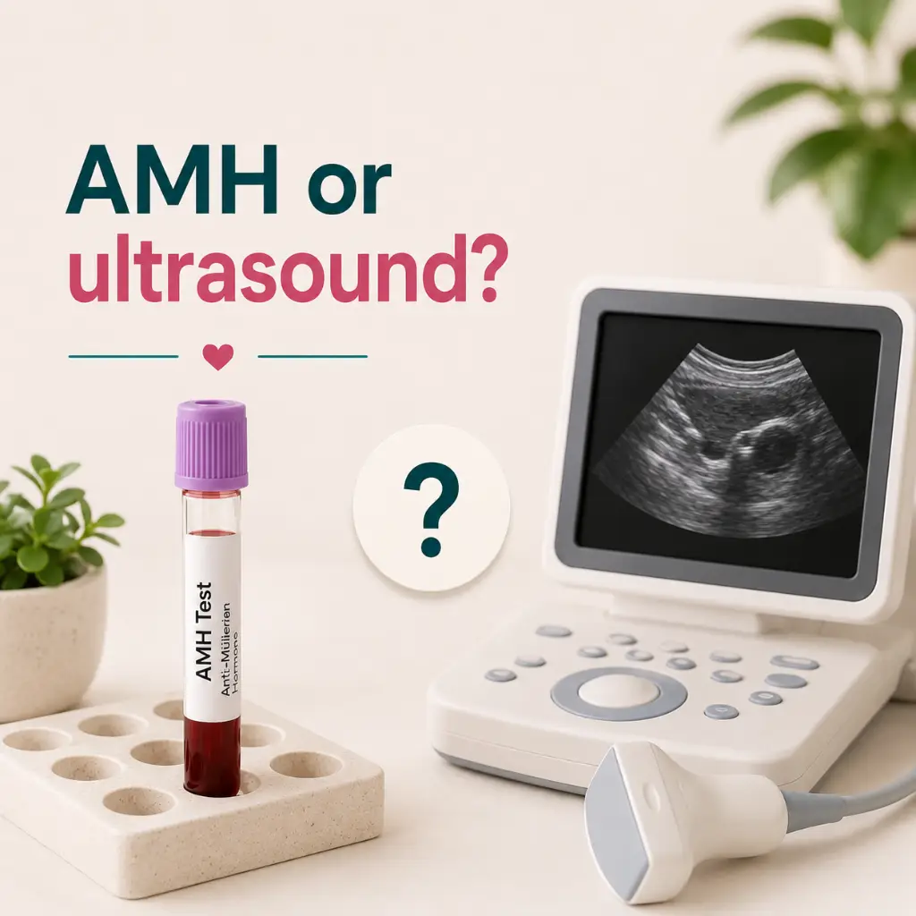 AMH vs ultrasound for PMOS diagnosis in Australia under the 2023 PCOS guideline for adult ovarian morphology assessment.