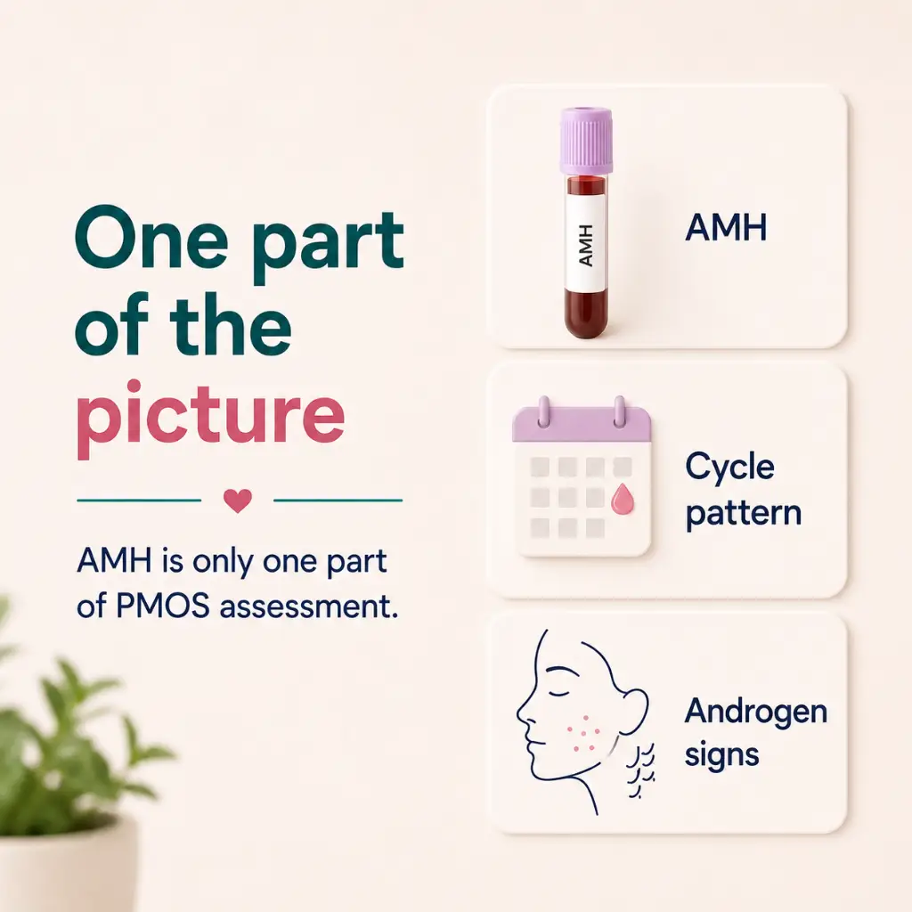 High AMH does not diagnose PMOS alone and must be read with irregular cycles, androgen symptoms and blood tests in Australia.