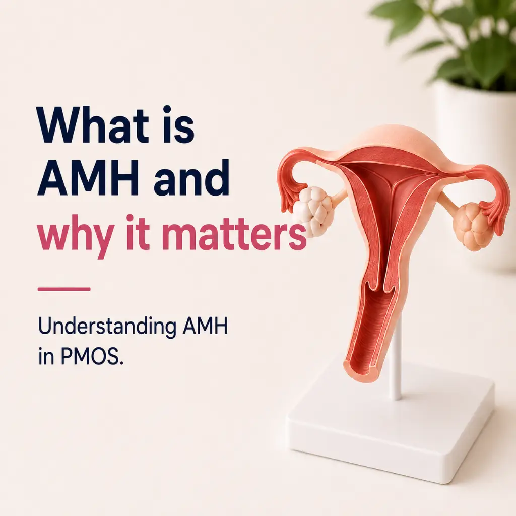 AMH test for PCOS and PMOS in Australia explaining high AMH, ovarian follicles and adult PMOS assessment.