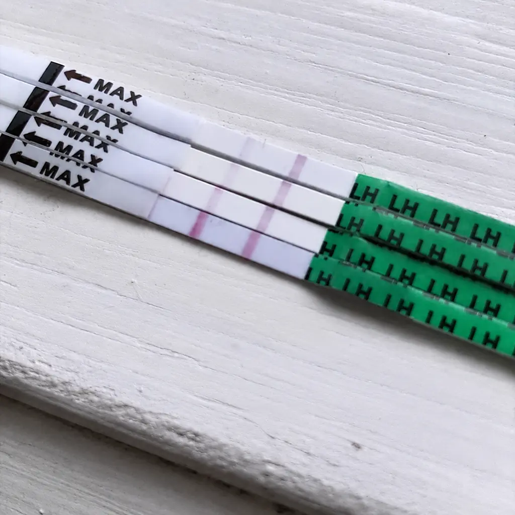 Ovulation test showing LH surge detection and results for fertility tracking in Australia
