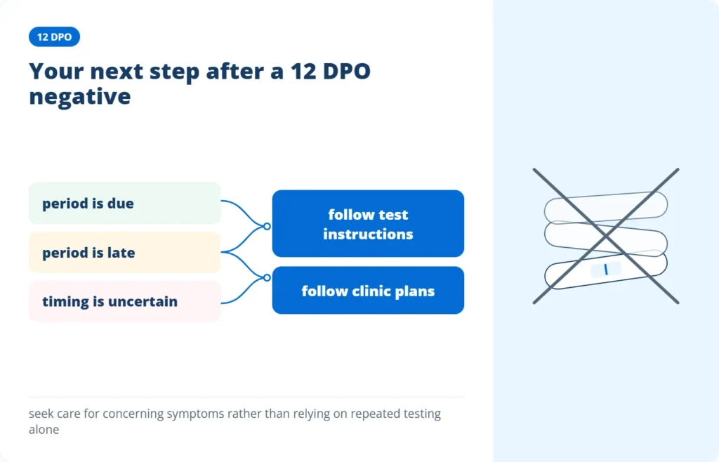 12 DPO negative pregnancy test and when to repeat a home pregnancy test