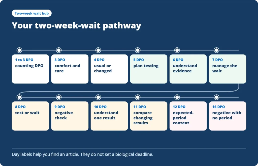 Two week wait symptoms day by day from ovulation until pregnancy testing